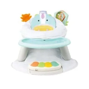Baby Fitness Dining Chair 2 IN 1
