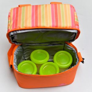 Double layer Insulated breast milk cooler bag  With Free Re-usable Ice Brick