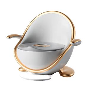 Luxury Potty Training Seat with armrest