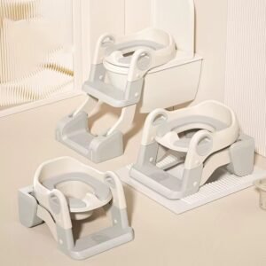 3-In-1 Toilet Potty Trainer Seat With A Ladder