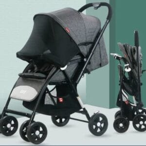 Unique Stroller with Reversible Handle and Mosquito net