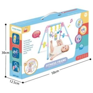 NEW Baby Musical Fitness Frame- Multicolored