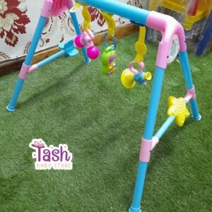 NEW Baby Musical Fitness Frame- Multicolored